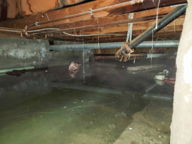 Best Ceiling water damage repair  in Westhampton, NY