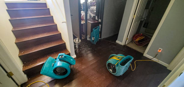 Best Water damage cleanup near me  in Westhampton, NY