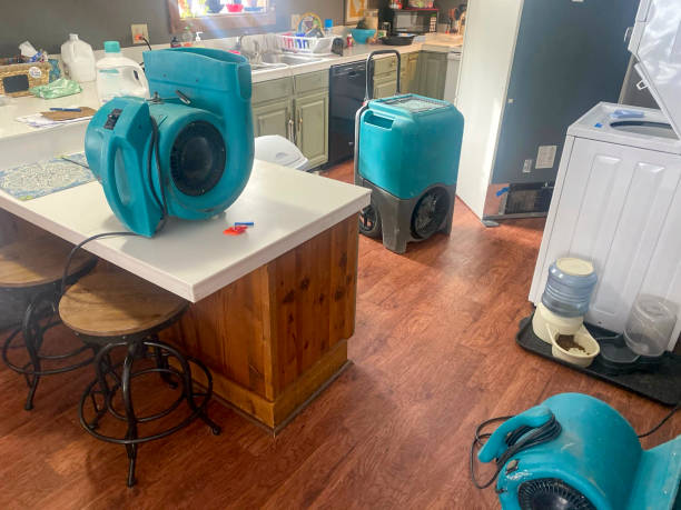 Best Water damage restoration near me  in Westhampton, NY