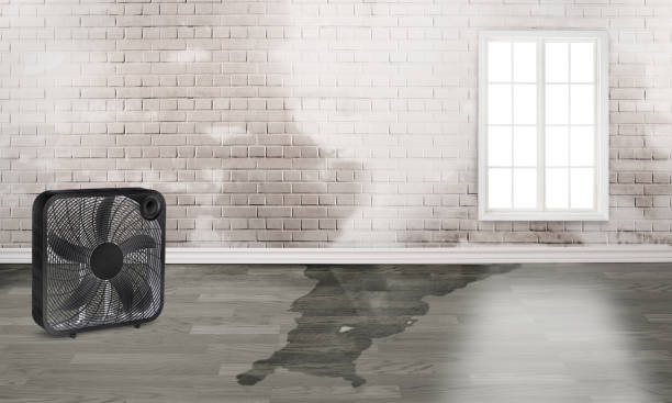 Fire Damage Restoration in NY
