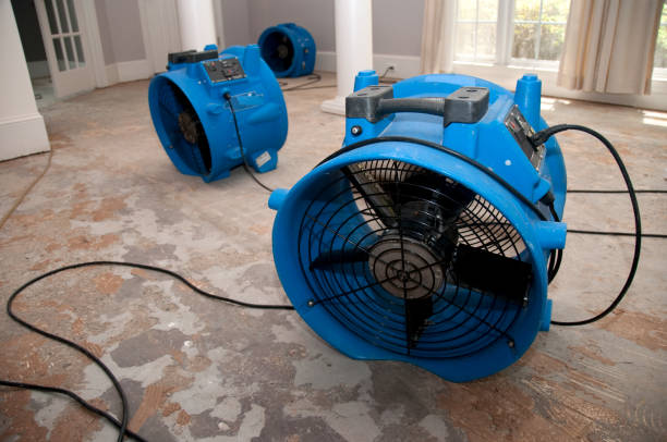 Best Fire Damage Restoration  in Westhampton, NY
