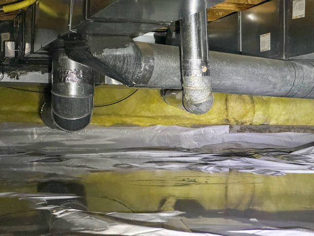 Best Water damage restoration mold remediation  in Westhampton, NY