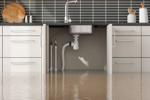Best Water damage cleanup near me  in Westhampton, NY